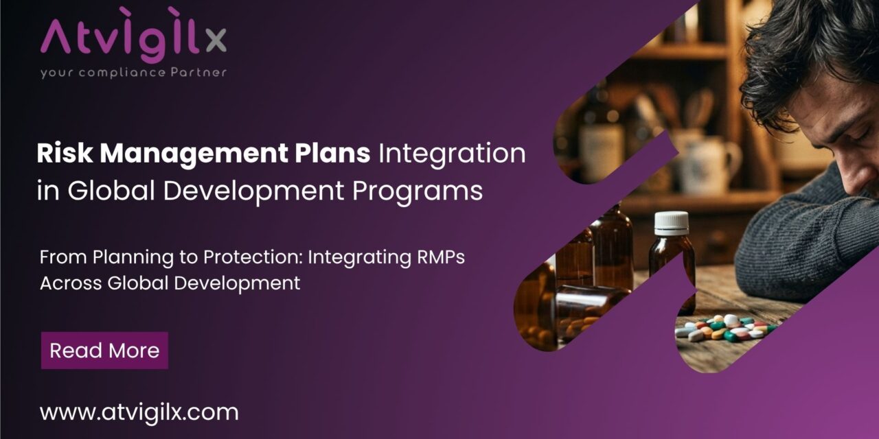 Risk Management Plans Integration in Global Development Programs