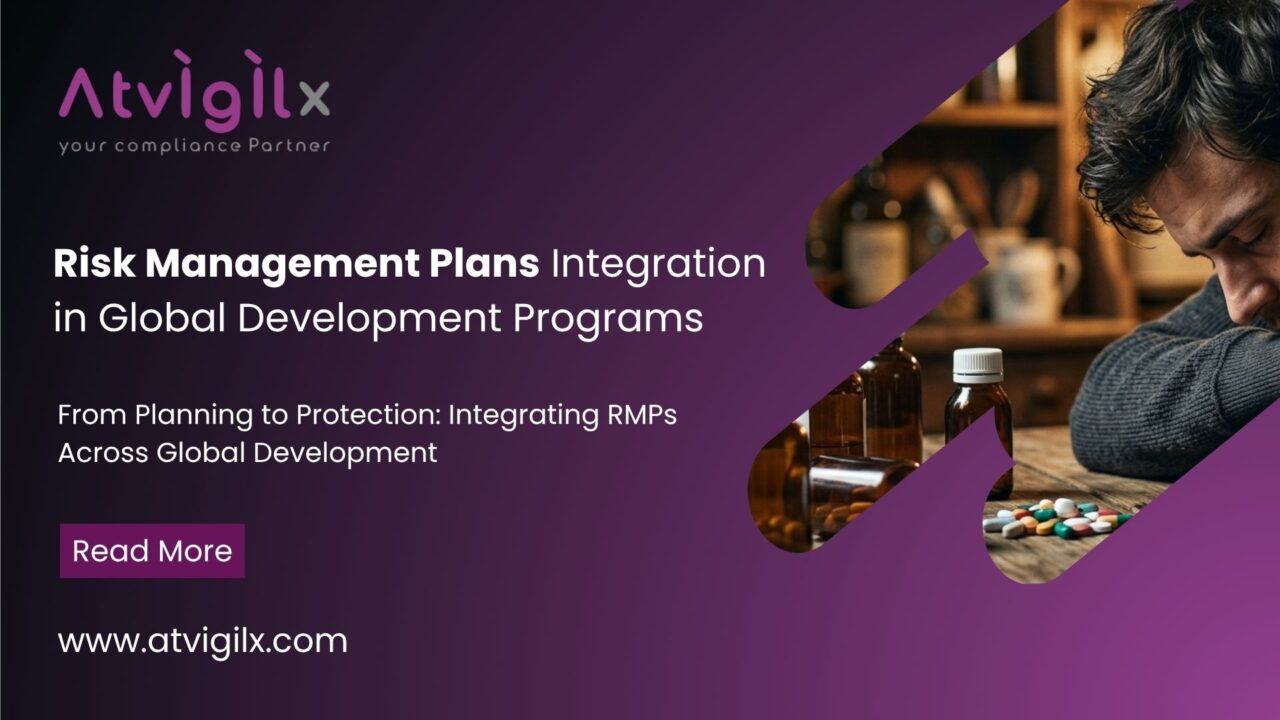 Risk Management Plans Integration in Global Development Programs